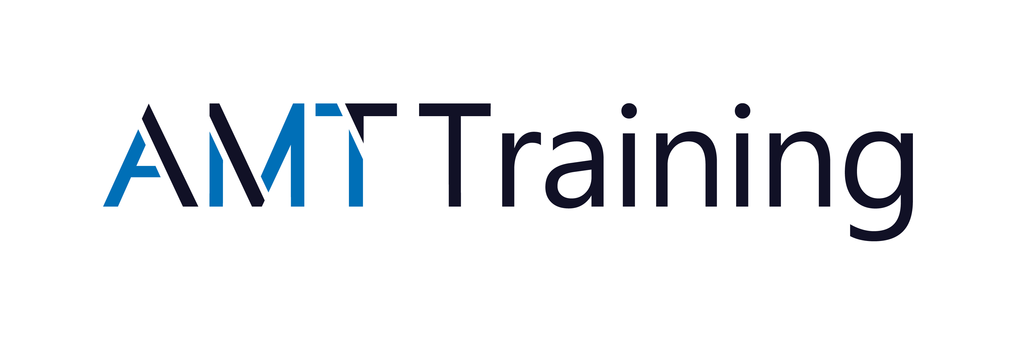 Products amt training